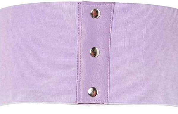 Underbust Lace Corset Belt Cincher in Light Purple