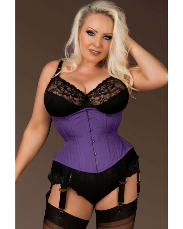 Hips and Curves Plus Size Curvy Corset With Steel Bones