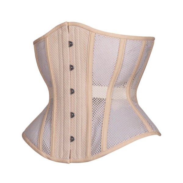 Hourglass Mesh Corset in Beige