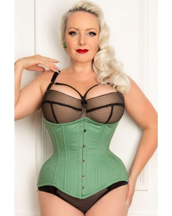 Hips and Curves Steel Boned Curvy Corset