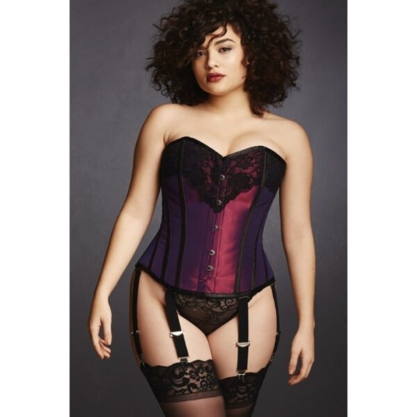 Hips and Curves Plus Size Overbust Corset