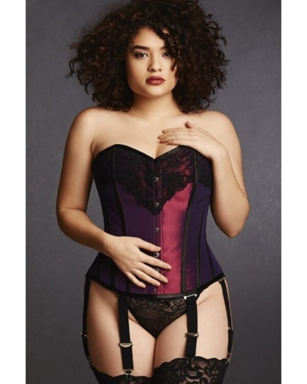 Hips and Curves Plus Size Overbust Corset