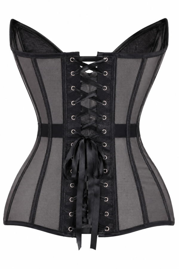 Gothic Sheer Mesh Corset Shimmer Black Lace Up Waist Cincher curvycorset.com