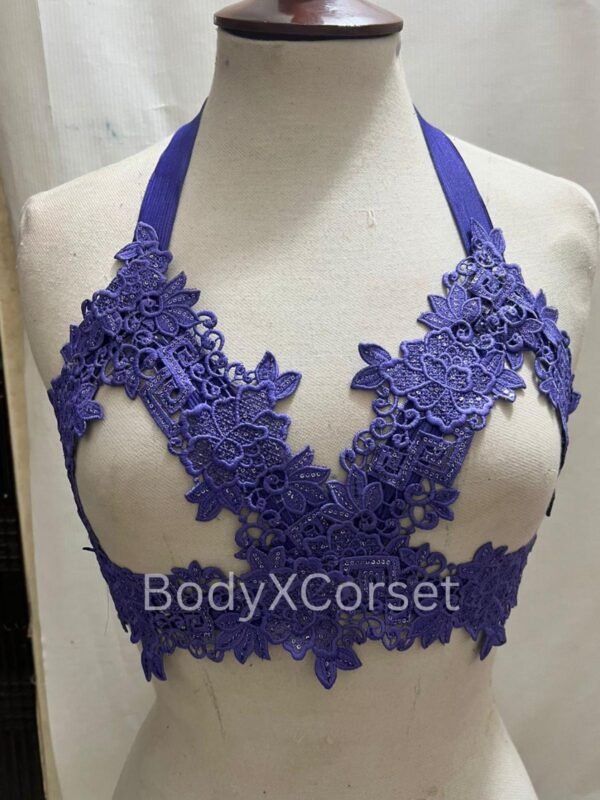Strappy Lace Halter Bralette Top Gothic Fashion Crop Top Sheer Backless Lingerie Top Steampunk Burlesque Harness Bra